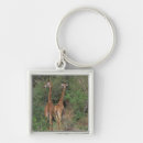 Search for torso key rings Outdoors