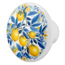 Search for lemon knobs and pulls Yellow
