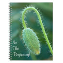 Search for pod notebooks Green