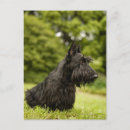 Search for side view vertical postcards Vacations