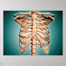 Search for spine art posters Horizontal