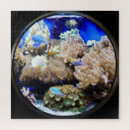 Search for aquarium puzzles Coral