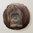 Search for orangutan cushions Great ape