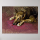 Search for working breed posters Pets