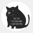 Search for funny cat quotes stickers Cats