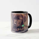 Search for chocolate labrador mugs Cute
