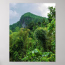 Search for el yunque posters Jungle