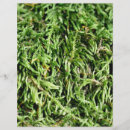 Search for nature scrapbook paper Green