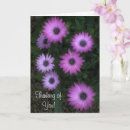 Search for think pink Flowers