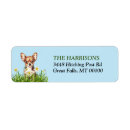 Search for chihuahua puppy return address labels Mexican