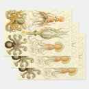 Search for squid wrapping paper Kraken