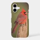 Search for songbirds iphone cases Wild birds