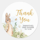 Search for beatrix potter baby shower Peter rabbit