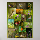 Search for butterfly collage art Insects