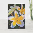 Search for summertime cards Tropical