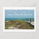 Search for seagrass postcards Photography