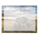 Search for nakuru Rhino