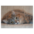 Search for cat chopping boards Persian