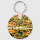 Search for reflection key rings Nature