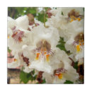 Search for indian tiles Flower