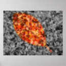 Search for stained glass posters Fall