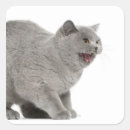 Search for snarl stickers Anger