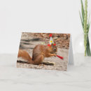 Search for funny squirrel cards Joy