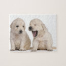 Search for golden retriever puppy puzzles Animals