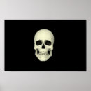 Search for human skulls posters Illustration