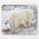Search for danita delimont mouse mats Canadian