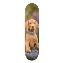 Search for puppy skateboards Cute animals