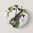 Search for warbler Audubon
