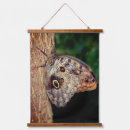 Search for butterfly tree art Nature