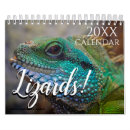 Search for gecko calendars Iguana