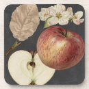 Search for apples barware Fruit