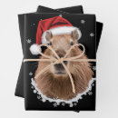 Search for capybara wrapping paper Xmas