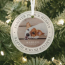 Search for bird pet memorials In loving memory