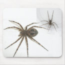 Search for arachnid mouse mats Animal