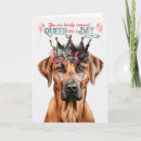 Search for rhodesian ridgeback dog cards Dogs