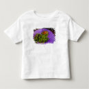 Search for damselfish tshirts Anthozoan