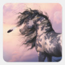 Search for cherokee stickers Native