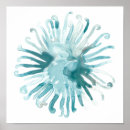 Search for blue sea coral print posters Coastal