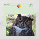 Search for owl photography Great horned owl