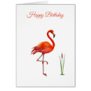 Search for beautiful birthday cards Feminine