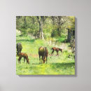 Search for colt art Horses