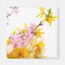 Search for spring bloom magnets Daffodils