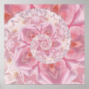 Search for rose petals posters Pink