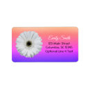 Search for gerberas labels Pink