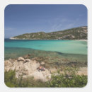Search for baja stickers Scenic