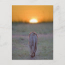 Search for rear view postcards Walking